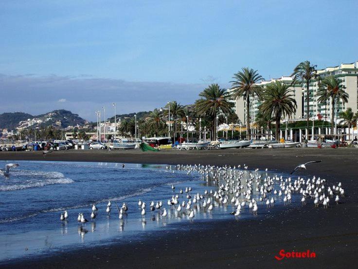 Apartamento El Dorado Cerca Del Mar Malaga Exterior photo